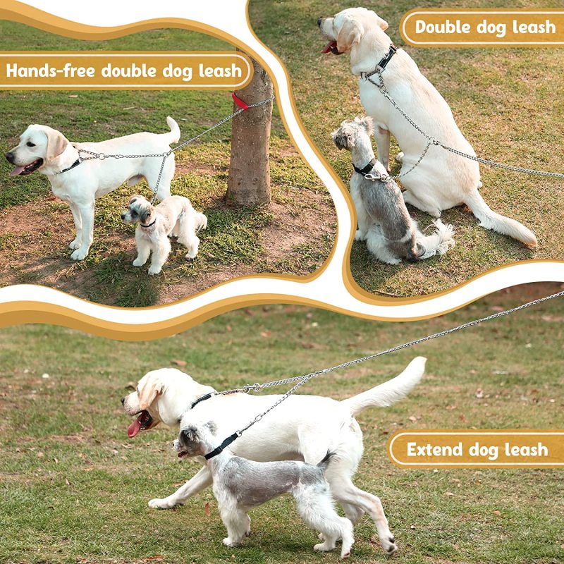 Two double lead Chain Double Leash For Dog
