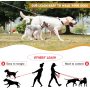 Two double lead Chain Double Leash For Dog