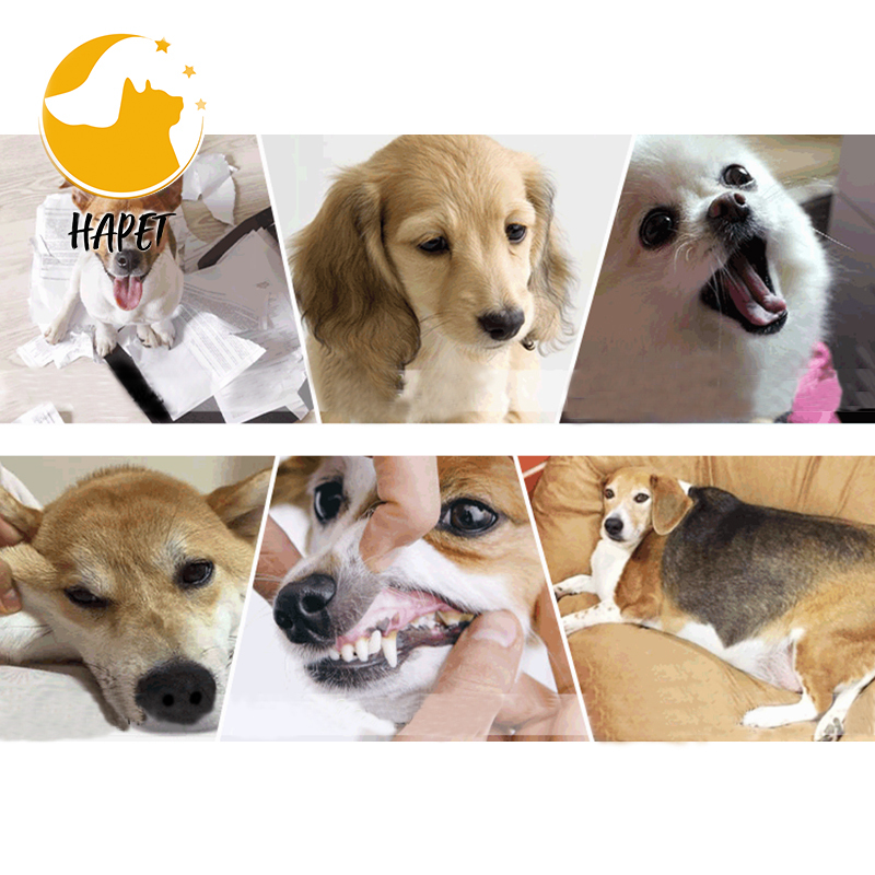 Puppy Chew Toys for Teething Dog Bones Toothbrush Teething Chew Sticks Toys Natural Rubber
