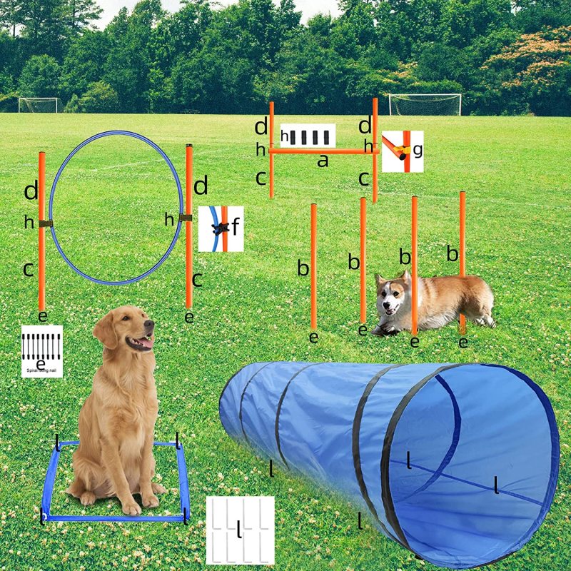 Obstacle Agility Training Equipment Pet Outdoor Games Including Tunnel