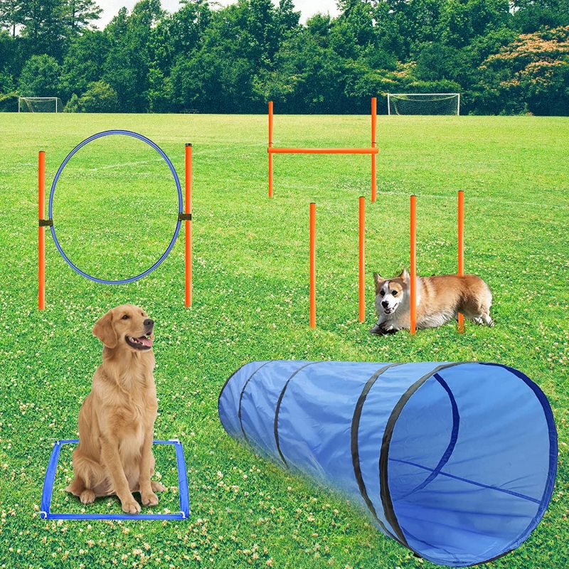 Obstacle Agility Training Equipment Pet Outdoor Games Including Tunnel