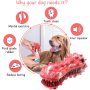 Dog Toys for Aggressive Chewers Large Medium Breed Indestructible Dog Squeaky , Durable Toothbrush Toys