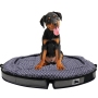 New Design Pet Bed for Dog Resting Collapsible Oxford Pet Bed Waterproof Travel Outdoor Travel Pet Beds