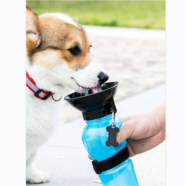 Portable Travel Water Bottle For go Outdoor Travel For Pet