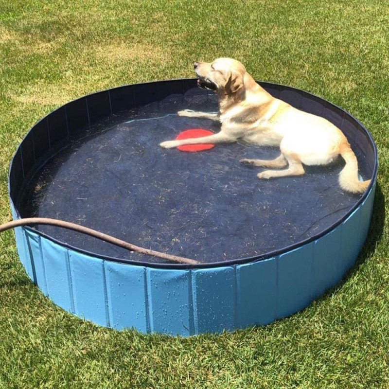 Foldable Dog Pool for Medium Dogs - KizmetKare Portable Pool Plastic Pet BathTub, Outdoor Large Dog Swimming Pool