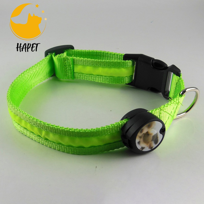 LED Dog Collar USB Rechargeable Adjustable Light up Dog Collar Super Bright Safety Light Glowing Collars