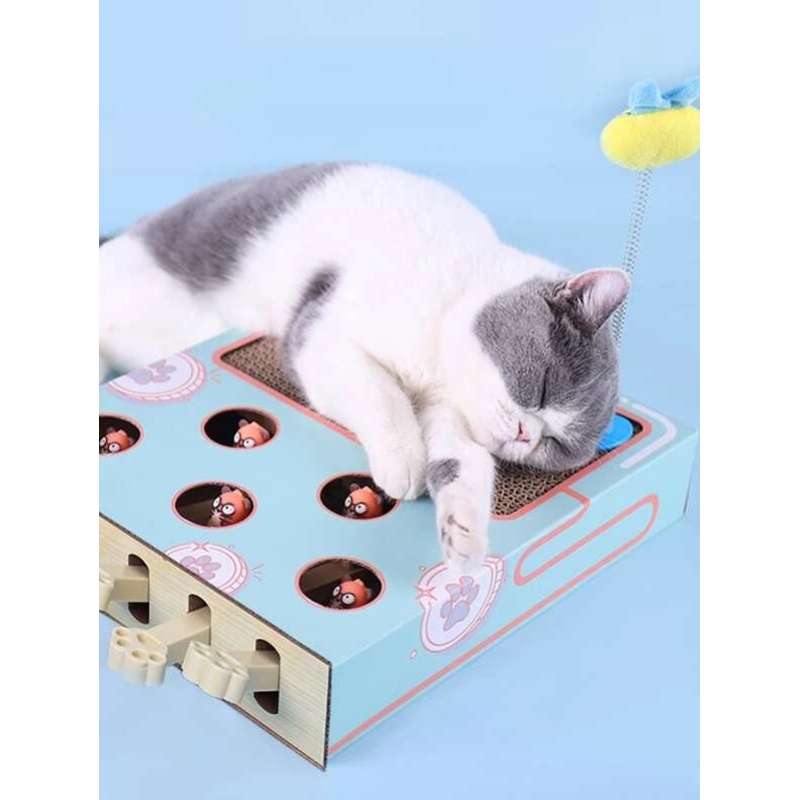 Cat Scratch Board Web Celebrity Whack-a-Mole Triad Cat Litter Toy From Artifact Fastness Corrugated Paper Mill Claw Boredom