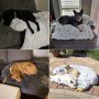 Removable Washable Dog Mat for Furniture Protector with Pet cover