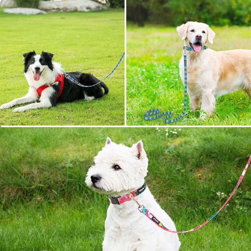 Walking Training Pattern Girl Pet Leashes for Small Medium and Large Dogs