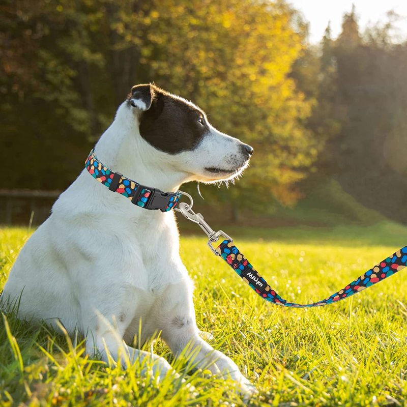 Walking Training Pattern Girl Pet Leashes for Small Medium and Large Dogs