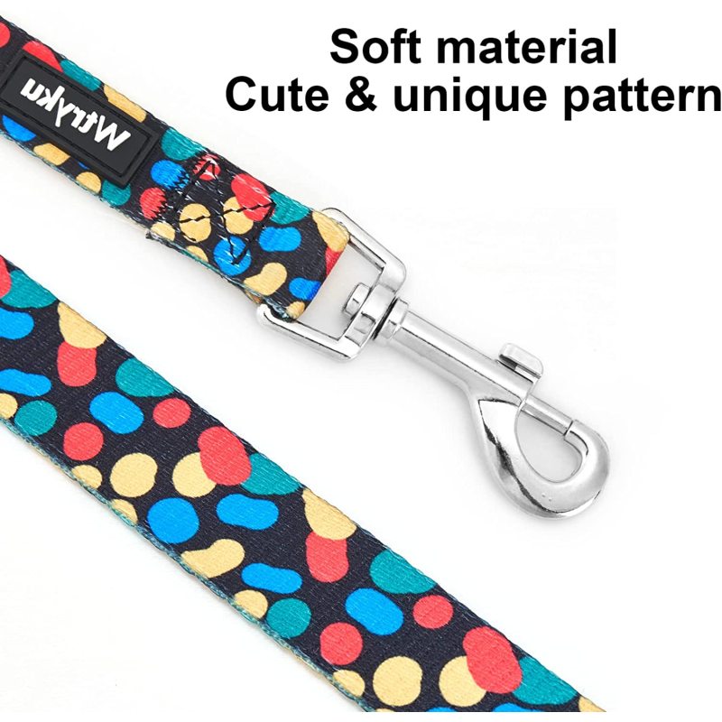 Walking Training Pattern Girl Pet Leashes for Small Medium and Large Dogs