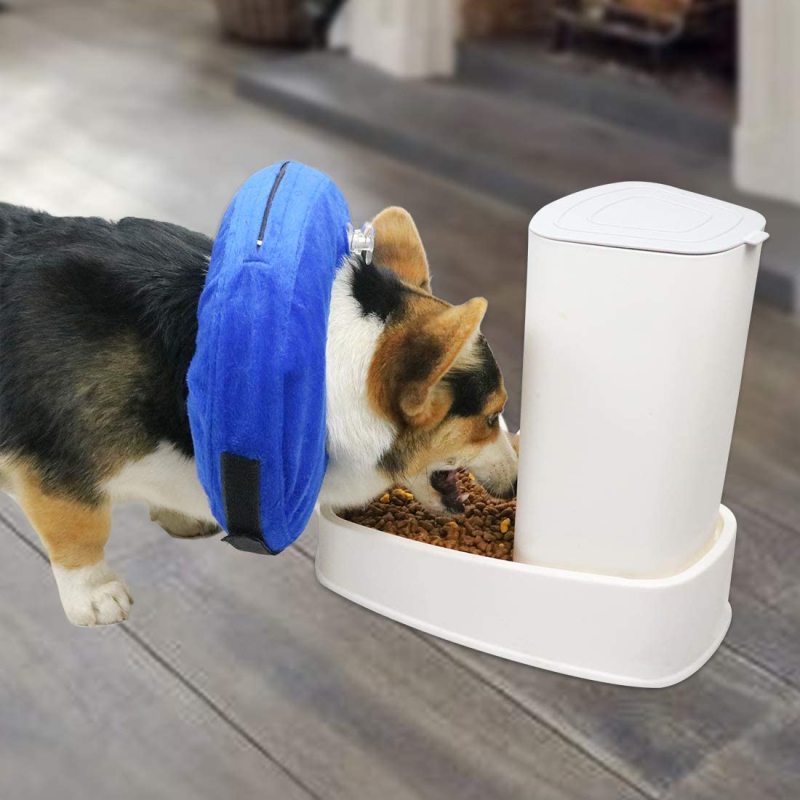 Prevent from Biting Recovery Collar for Dogs After Surgery