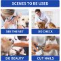 Prevent from Biting Recovery Collar for Dogs After Surgery