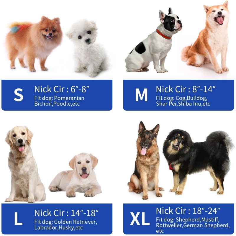Prevent from Biting Recovery Collar for Dogs After Surgery