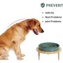 Pet Slower for Fun Cups Dog Slow Feeder Preventing Choking
