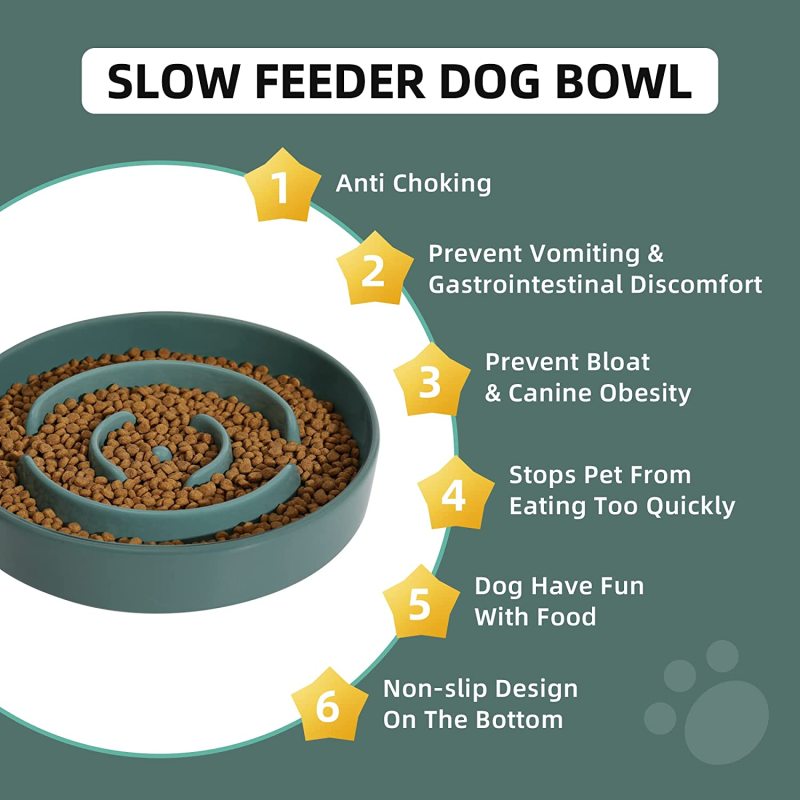 Pet Slower for Fun Cups Dog Slow Feeder Preventing Choking