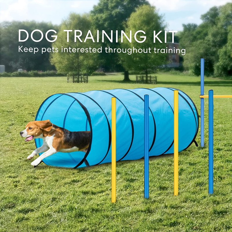 Portable Dog Training Bag Accessory Training Course Tunnel Outdoor Use For Dog Practice Sensitivity