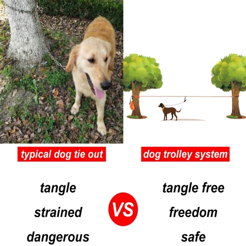 Dog Tie Out Cable for Camping Dog Lead for Yard