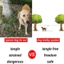 Dog Tie Out Cable for Camping Dog Lead for Yard