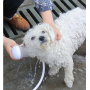 Pet Shower Sprayer