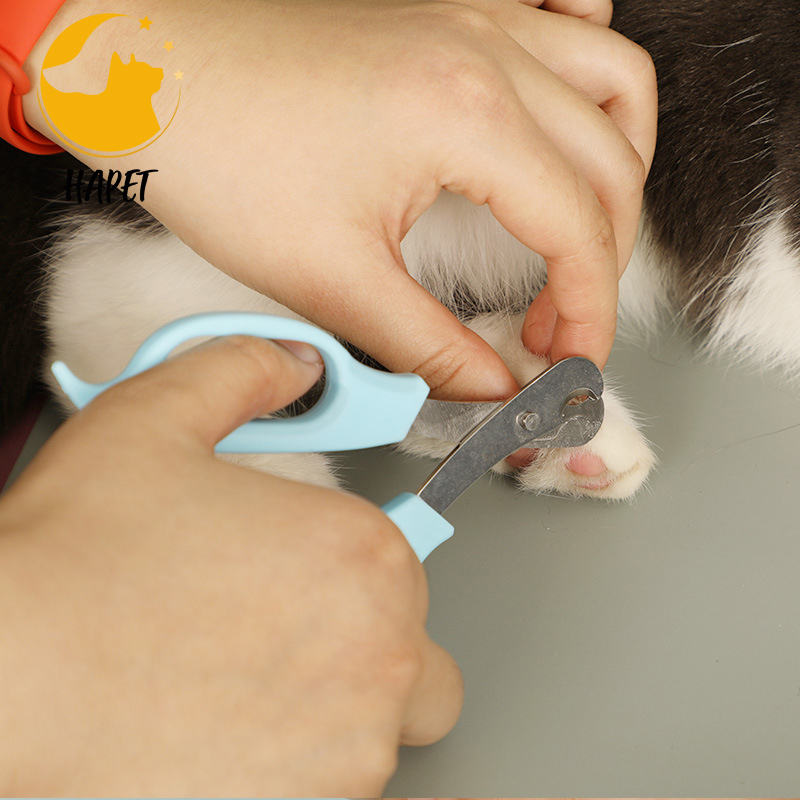 Pet Grooming Scissors for Hair and Body Fur Trimming