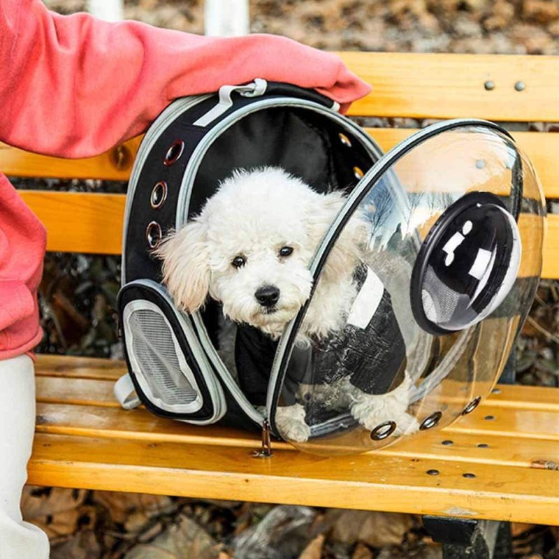 Pet Carrier Backpack Expandable More Space To Carry Dogs For Pets Up To 10 Lbs Fit For Small Medium Dog Hiking Backpack
