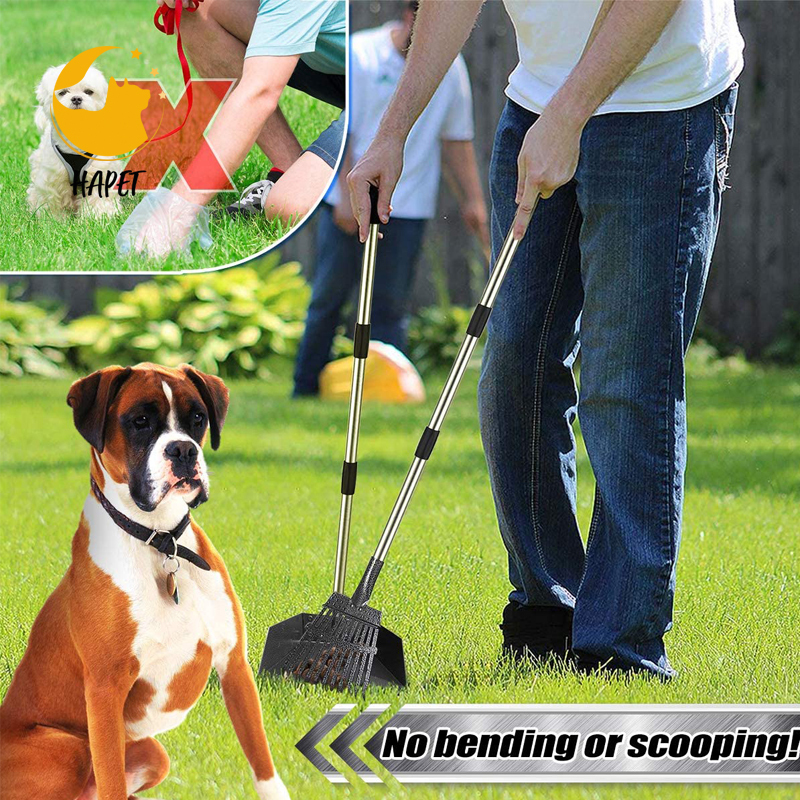 Extra Large Poop Scooper for Large and Small Dogs with Long Handle Metal Pet Poop Tray and Rake Set for Dirt
