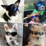 Adjustable Band for Puppy Doggy Cat Dog Sunglasses for UV Protection Windproof