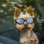 Adjustable Band for Puppy Doggy Cat Dog Sunglasses for UV Protection Windproof