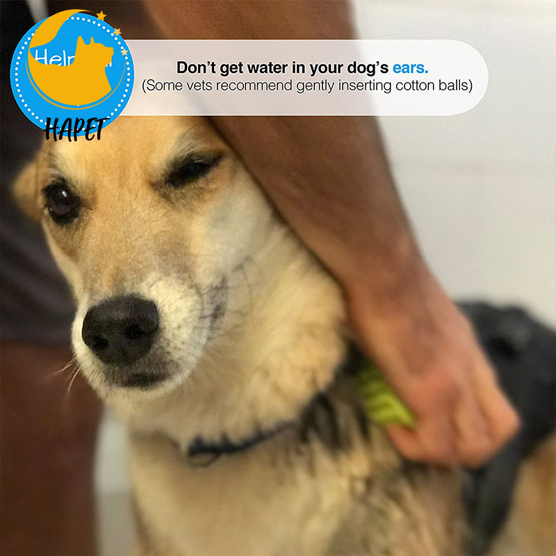 Dog Bath Brush Soft Dog Rubber Shampoo Brush Pet Grooming Brush for Long Short Haired Dogs and Cats
