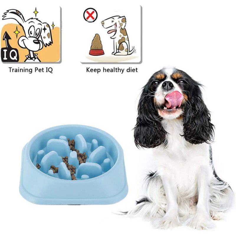 Slow Feeder Bowl Fun Interactive Feeder Bloat Stop Dog Bowl