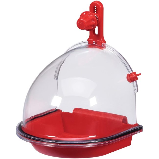 Bird Bath Bird Accessory
