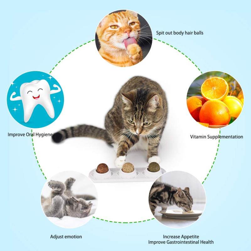 Catnip Toy Edible Ball Safe and Healthy cat Family Chasing Game Toys, Cleaning Teeth, Protecting The Stomach cat catnip toy