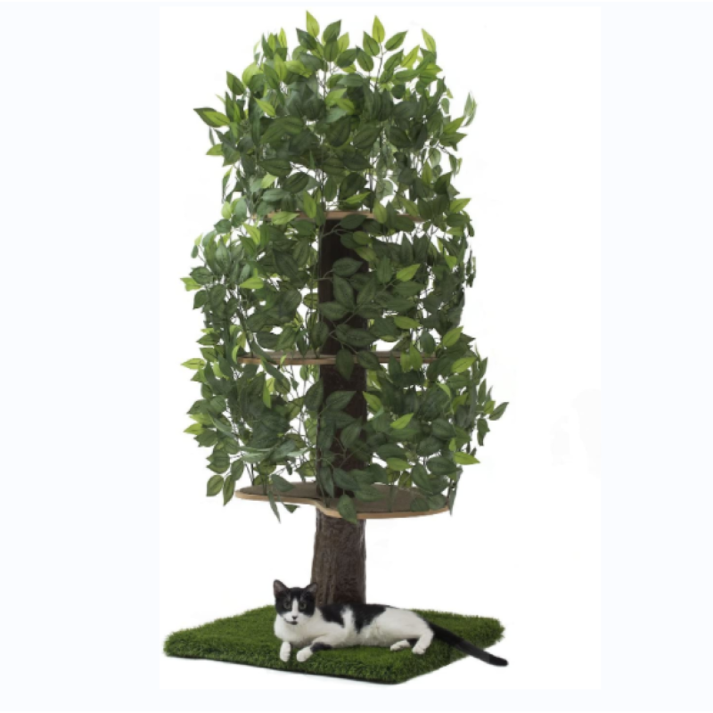 Large Square Cat Condo Cat Tree Activity Tree in Ever Green