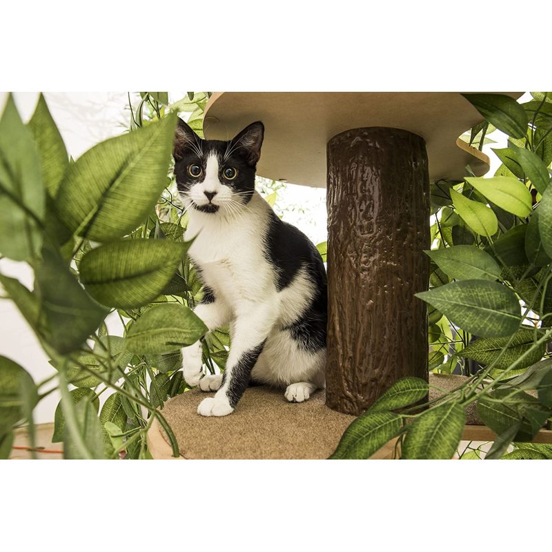 Large Square Cat Condo Cat Tree Activity Tree in Ever Green