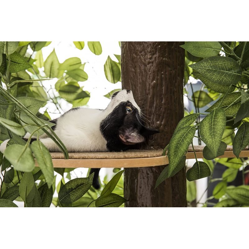 Large Square Cat Condo Cat Tree Activity Tree in Ever Green