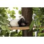 Large Square Cat Condo Cat Tree Activity Tree in Ever Green