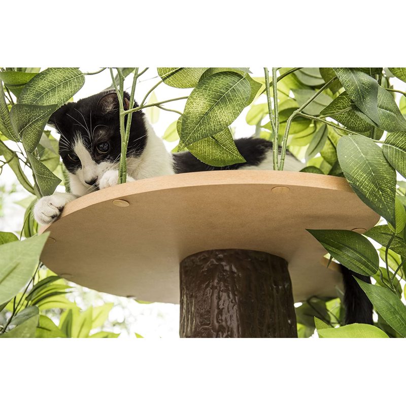 Large Square Cat Condo Cat Tree Activity Tree in Ever Green