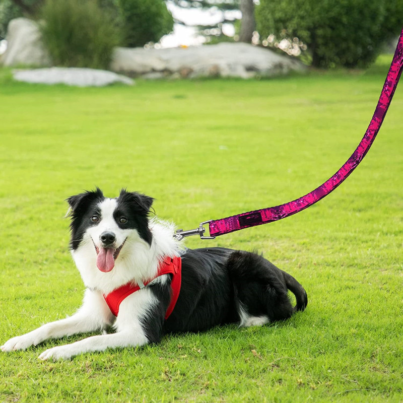 Walking Training Printed Girl Pet Leashes for Small, Medium and Large Dogs