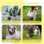 Dog Ball Toy Squeaky Giggle Ball Interactive for Aggressive Chewers Indestructible  Chew Toy for Small/Medium Dogs