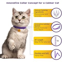Pheromone Calming Collar for Cats  Anxiety Relief Lavender Scent Reduces Stress Adjustable 15 Relaxing Collar for Kitten