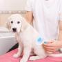 Pet Grooming Shedding Slicker Brush Easy to Remove Tool Suitable for Pets