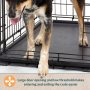Dog Crate | Newly Enhanced MidWest Life Stages XS Folding Metal Dog Crate | Divider Panel, Floor Protecting Feet, Leak-Proof Dog
