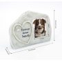 Pet Memorial Garden Stones, Cat or Dog Memorial Gifts Sympathy Pet Loss Gifts, Personalized Love Heart Paw Print Grave Markers