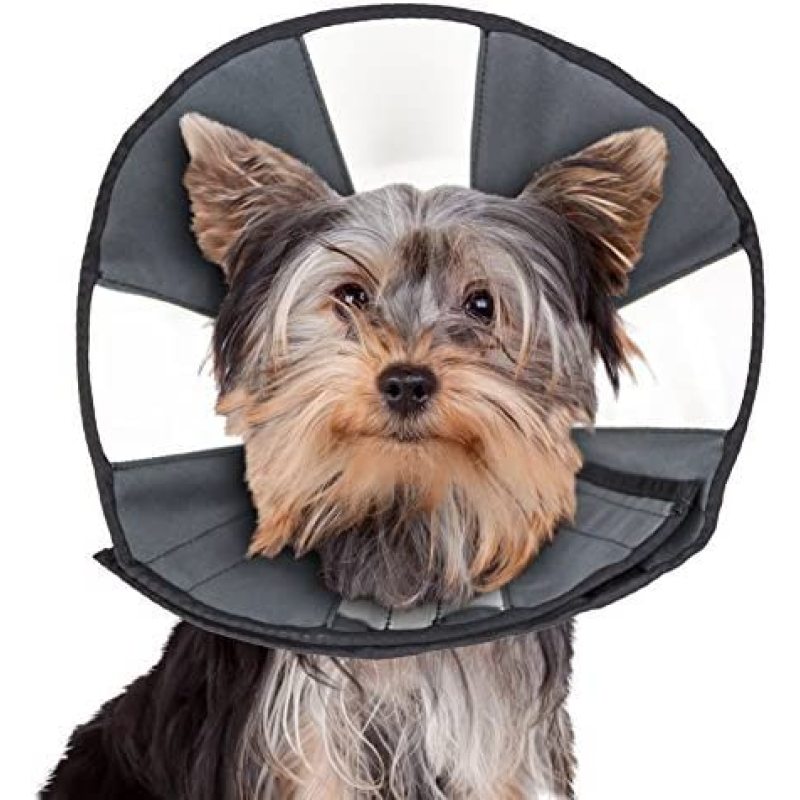 Comfortable Soft Collar Pet Recovery Cone Adjustable for a Secure and Custom Fit