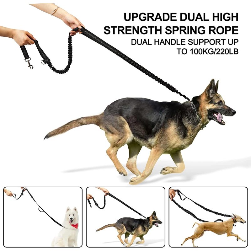 Dual-Handle Reflective  Bungee  Dog Waist Leash Retractable for Walking Hiking