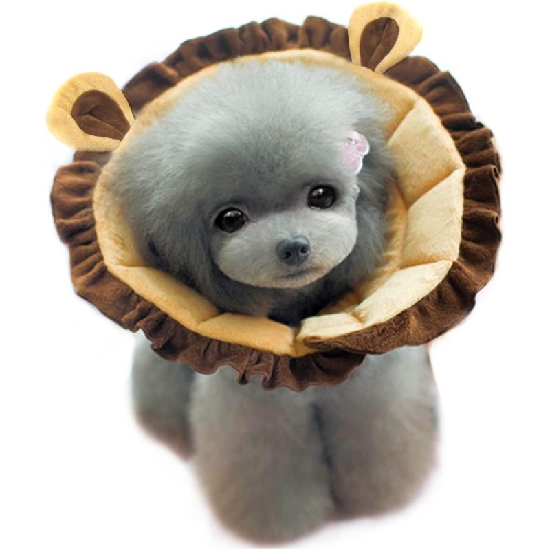 Recovery Collar for Dogs and Cats Lion Pattern