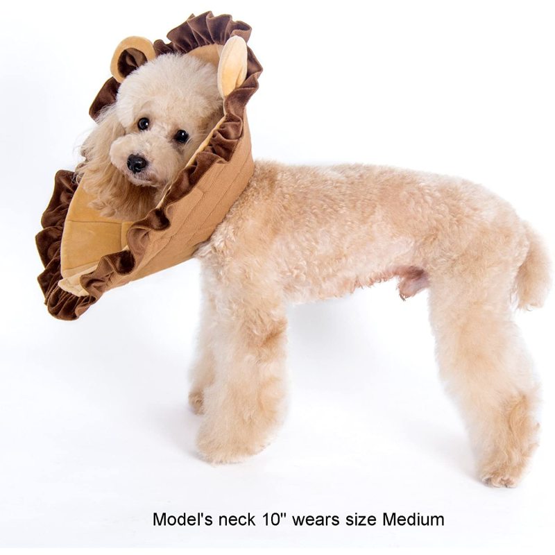 Recovery Collar for Dogs and Cats Lion Pattern