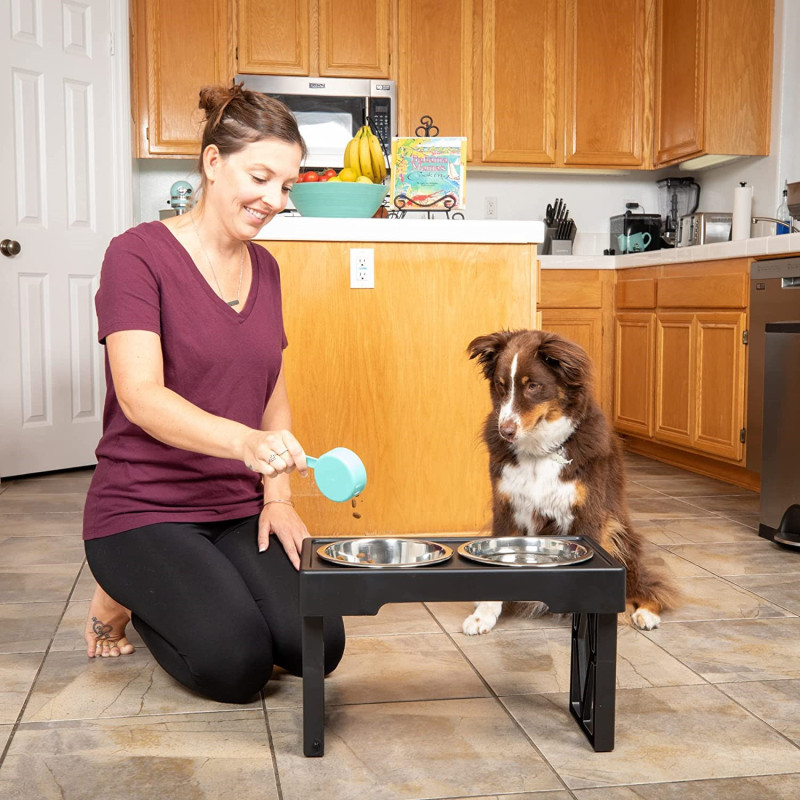 Raised Dog Dish with Stainless Steel Adjustable Elevated Dog Bowls For Pets