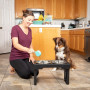 Raised Dog Dish with Stainless Steel Adjustable Elevated Dog Bowls For Pets
